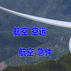 阜阳航空邮寄快递-选东方航空和上海航空